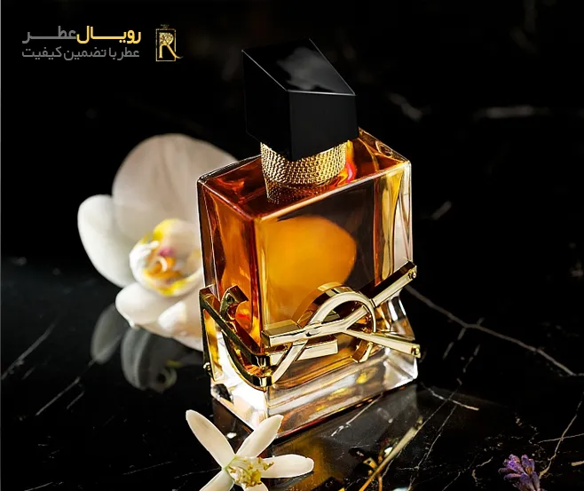 خرید لیبر اینتنس