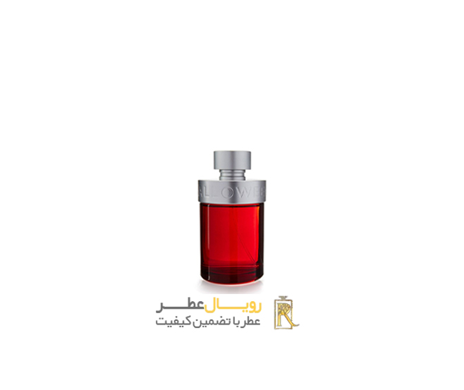 خرید عطر هالووین من مردانه خرید عطر هالووین من مردانه