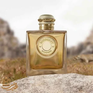 خرید عطر باربری گادس