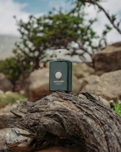 خرید عطر آمواج پریس